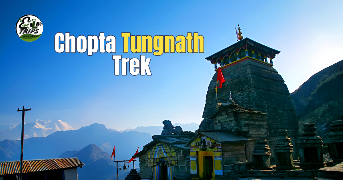 Treks & Trails- Himalayan Trekking Adventure 2024
